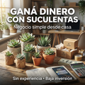 🌵 El Negocio de las Suculentas 💸