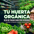 🌱 Tu Huerta Orgánica