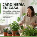 🌿 Jardinería en Casa