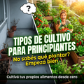 🌱 Tipos de Cultivo para Principiantes